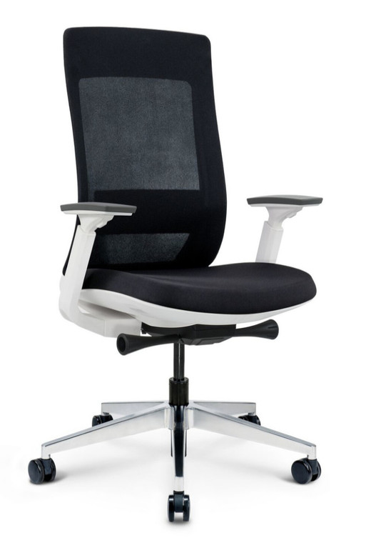 Eurotech Elevate Executive Task Chair White Frame, Black Mesh Back and Fabric Seat, 3/4 Front View Eurotech Elevate Executive Task Chair White Frame, Black Mesh Back and Fabric Seat, 3/4 Front View